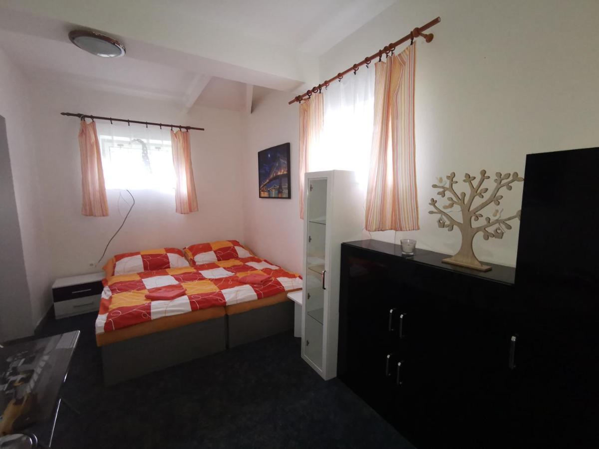 Penzion Tomy Na Plazi Hotel Frymburk Kültér fotó