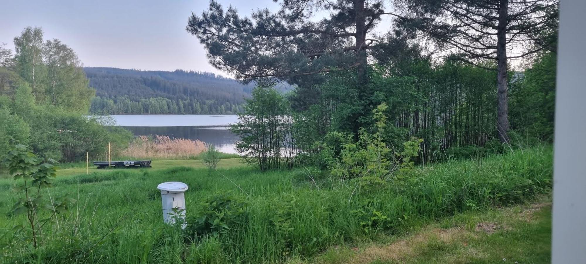Penzion Tomy Na Plazi Hotel Frymburk Kültér fotó