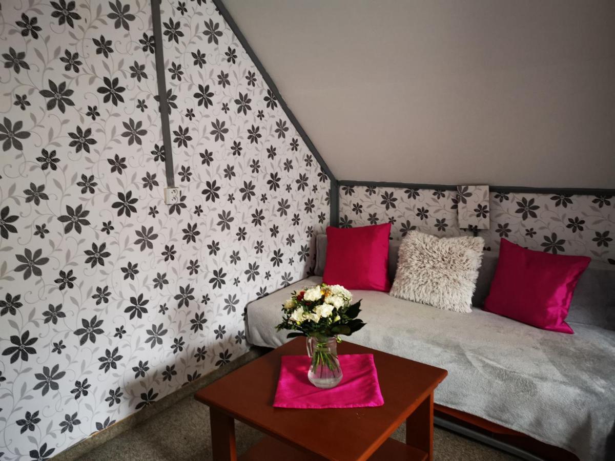 Penzion Tomy Na Plazi Hotel Frymburk Kültér fotó
