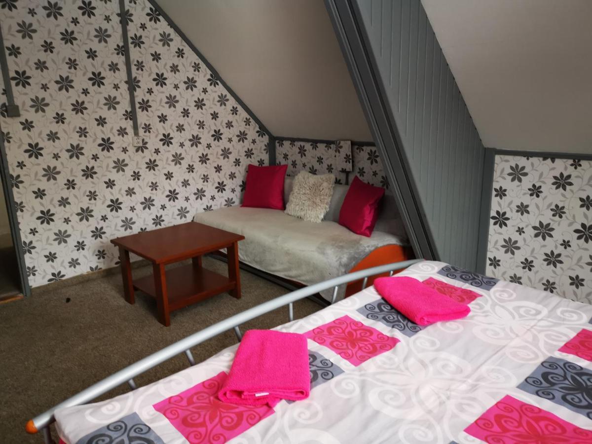 Penzion Tomy Na Plazi Hotel Frymburk Kültér fotó