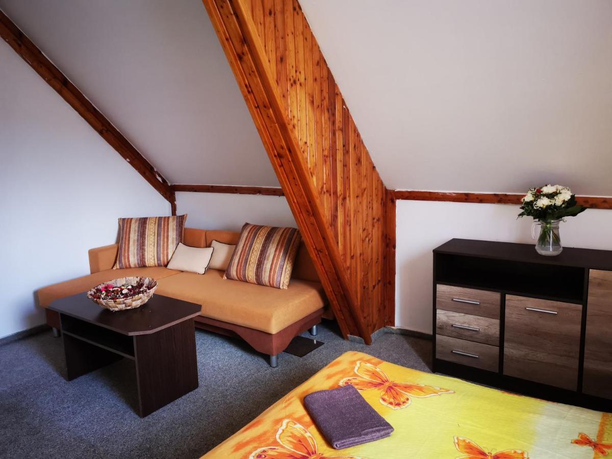 Penzion Tomy Na Plazi Hotel Frymburk Kültér fotó