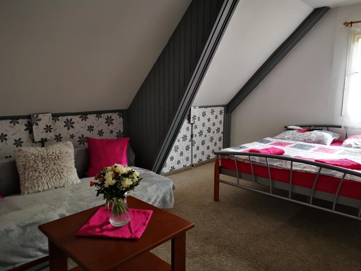 Penzion Tomy Na Plazi Hotel Frymburk Kültér fotó